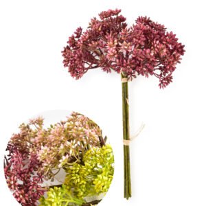 Keinokukka Gypsophila VIRIDIS 30 cm valkoinen 6 kpl