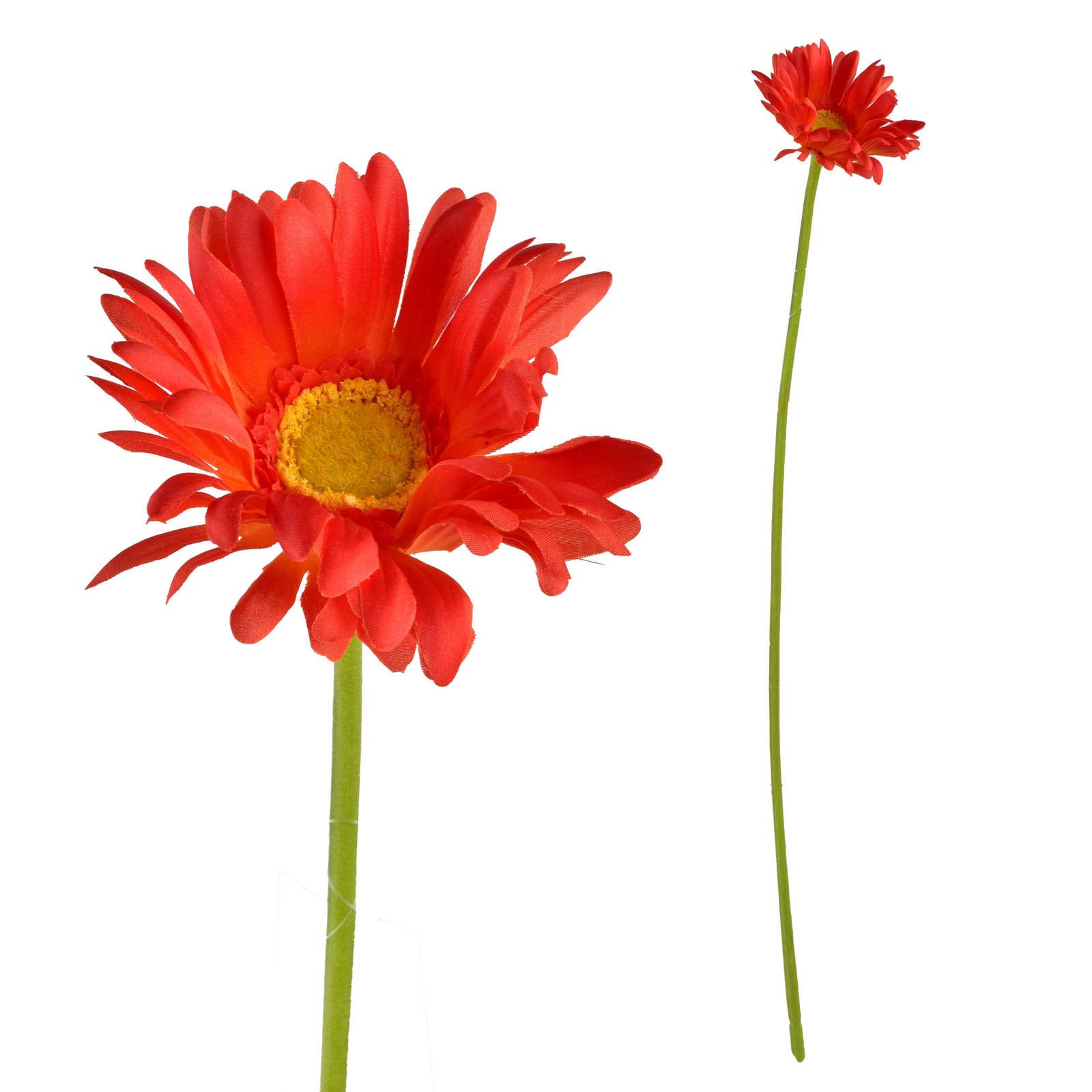 Tekokukka Prima MONDEX Viridis Gerbera 67 cm 1 kpl