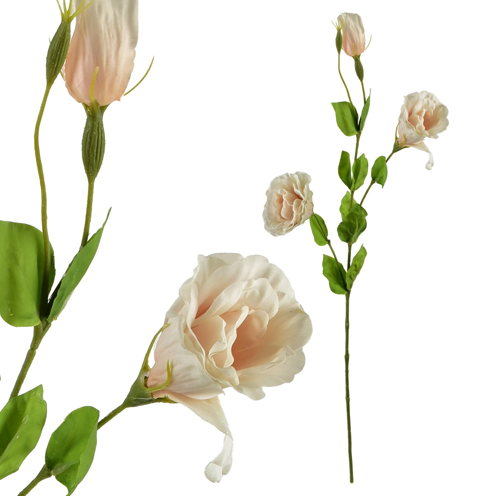 Tekokukka kumitettu Viridis Eustoma 70 cm 1 kpl