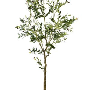 Tekokasvi Prima OLIVES Oliivipuu 180 cm vihreä 1 kpl