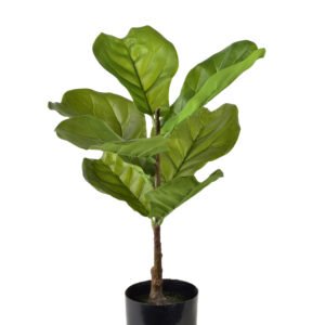 Tekokasvi muovi VIRIDIS Fikus 13x13x56 cm vihreä/musta 1 kpl