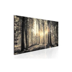 Forest Sun taulu