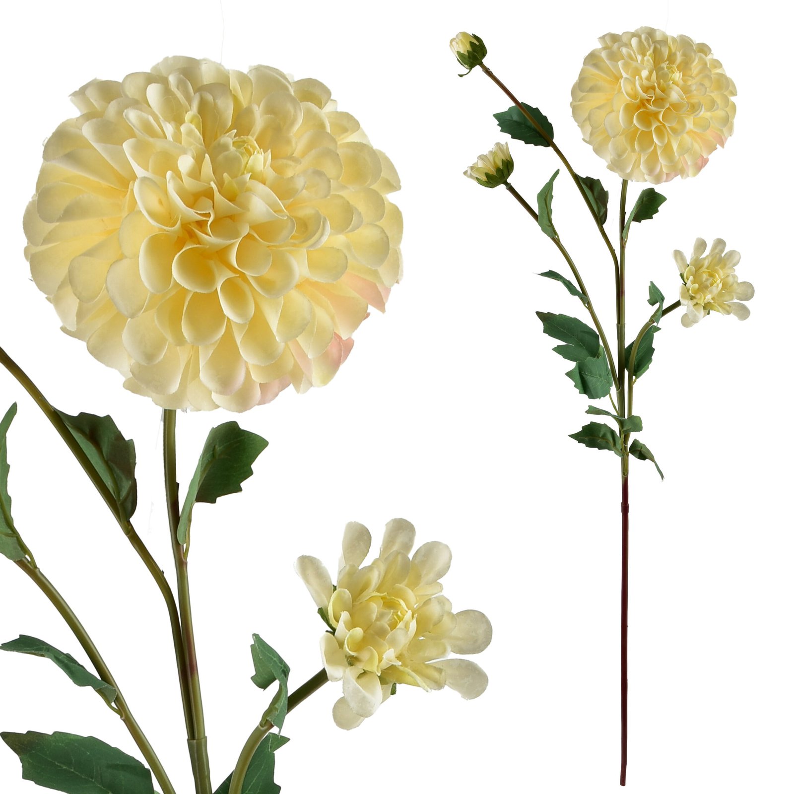 Tekokukka Prima Viridis Dalia 77 cm 1 kpl
