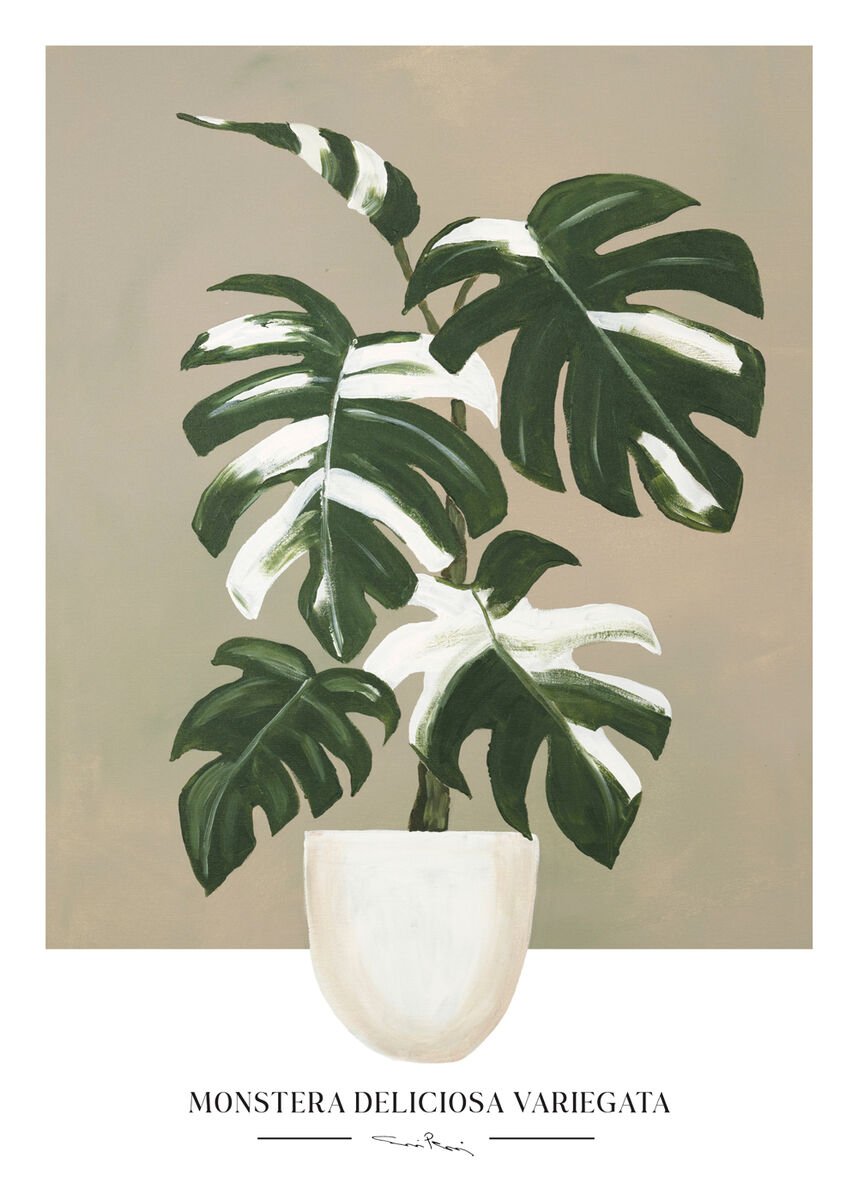 Kaverini Peikonlehti juliste 50x70 cm