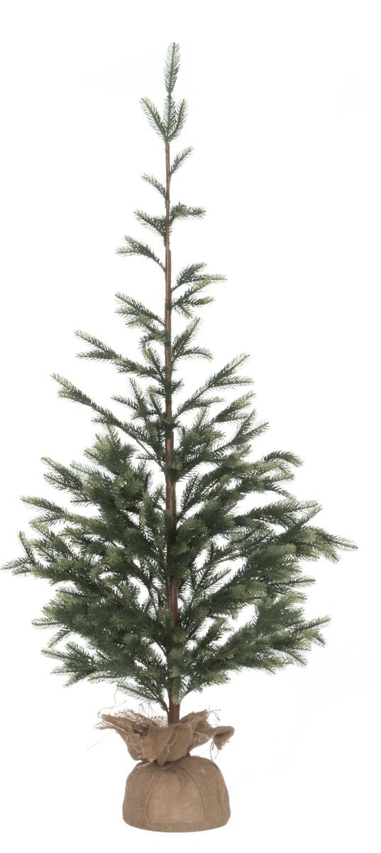 Winteria kuusi juuttiruukussa 150 cm
