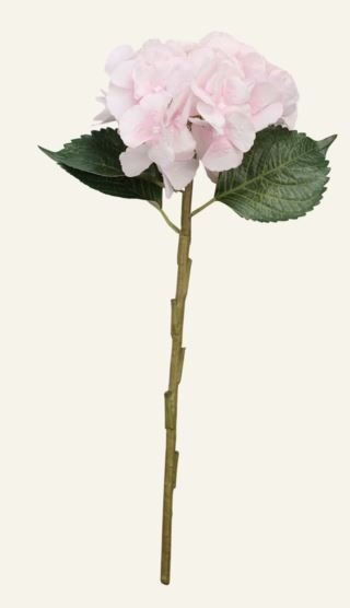 Hyndrangea S kukka roosa