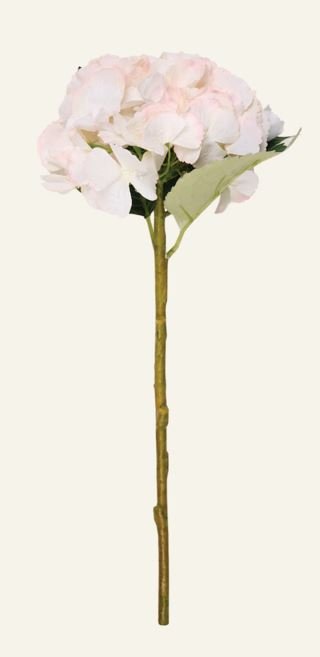 Hyndrangea S kukka vaaleanroosa