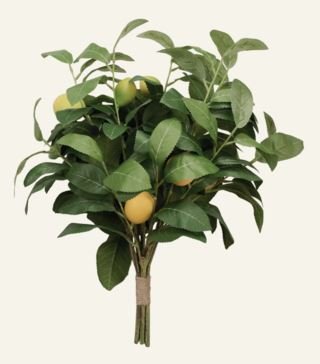Lemon Kukkakimppu keltainen
