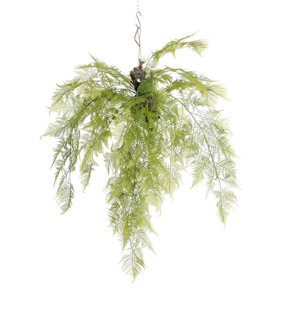 Mr Plant, Saniaisenvihreä 110 cm