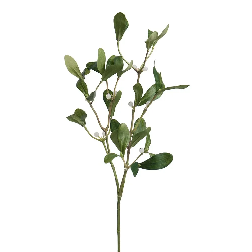 Mr Plant, Misteli 60 cm