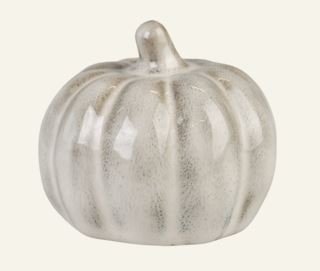 Pumpkin small koriste greige