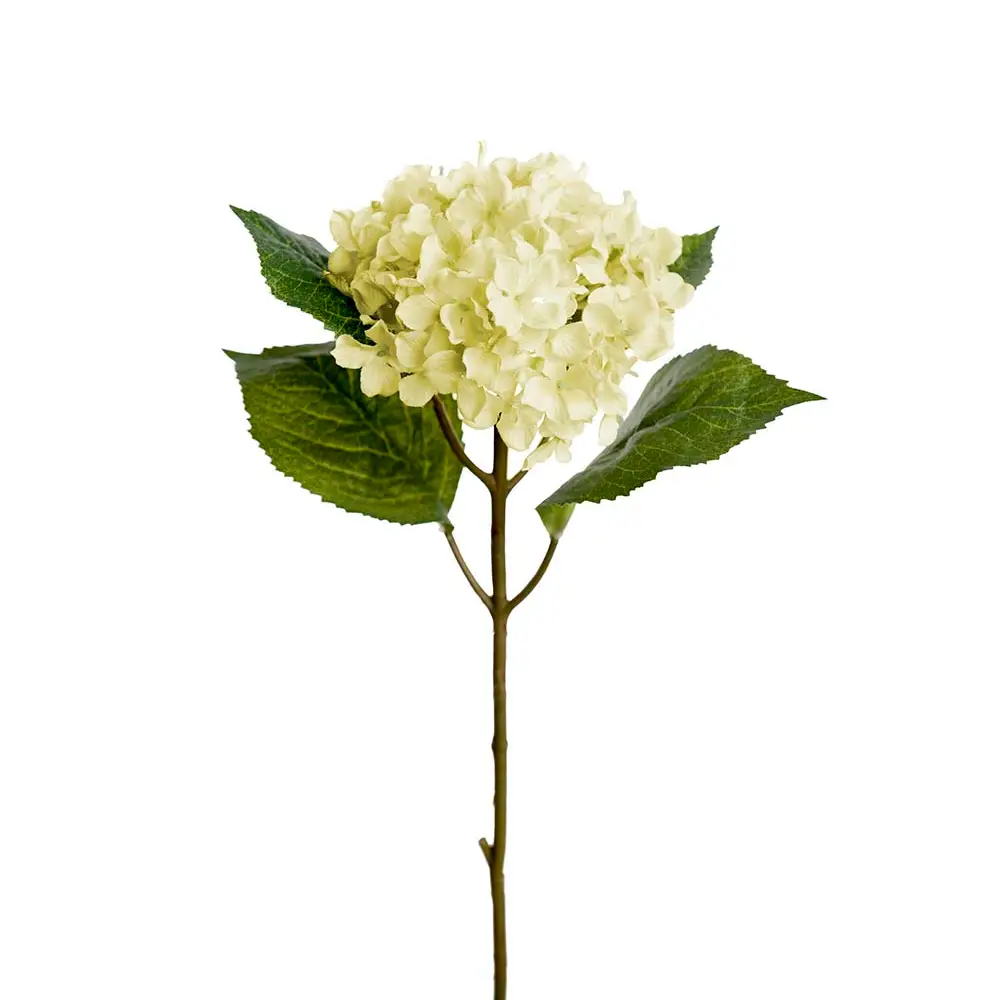 Mr Plant, Hortensia 40 cm valkoinen