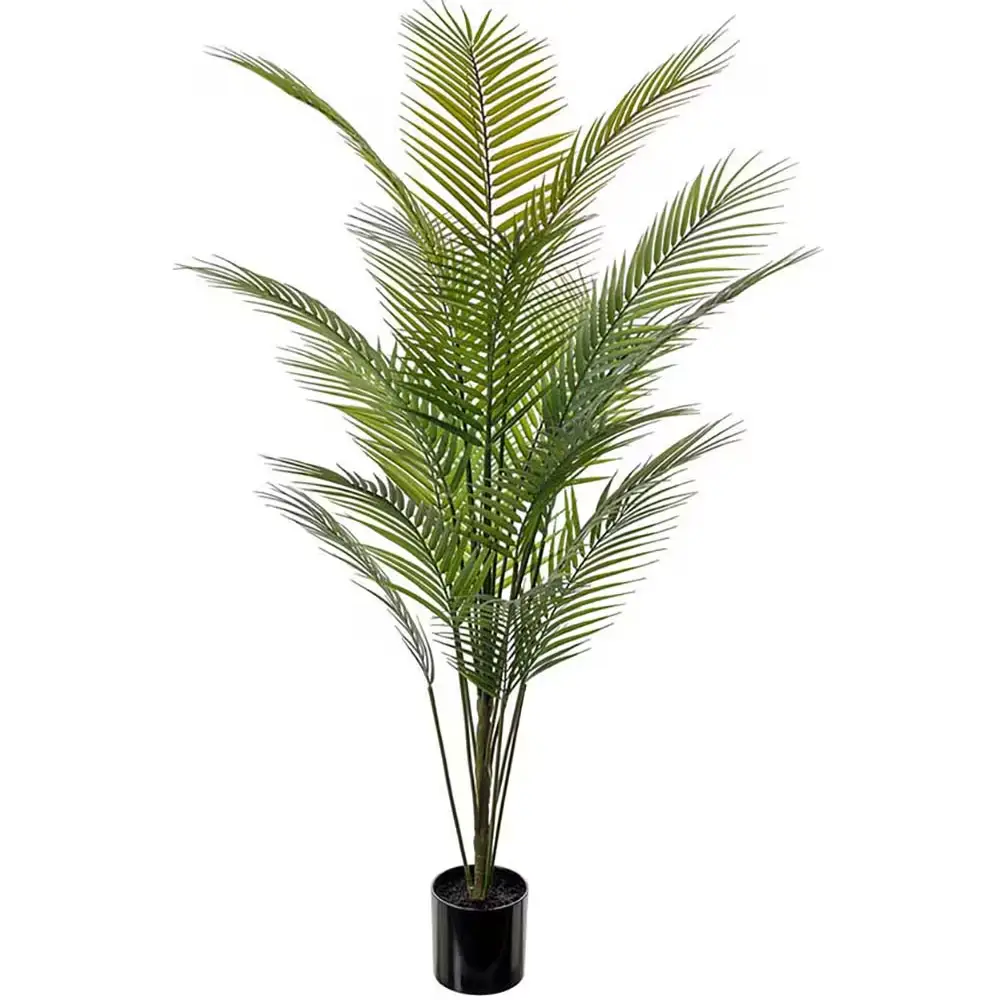 Mr Plant, Vuoripalmu vihreä ruukkukasvi 140 cm