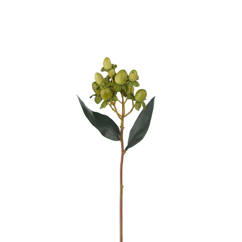 Mr Plant, Hypericum-marjan oksa 28 cm vihreä