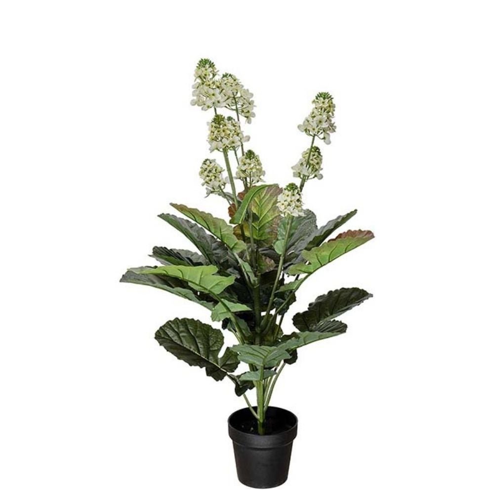 Mr Plant, Cole Kukka Valkoinen 105 cm