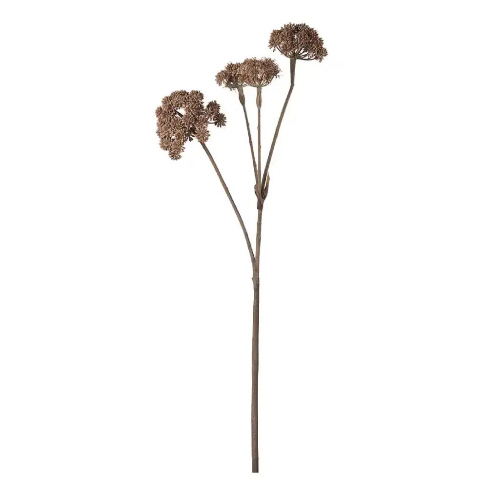 Mr Plant, Angelica Brown -leikkokasvi 125 cm