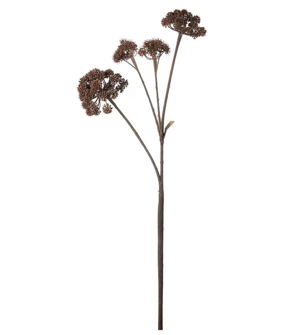 Mr Plant, Angelica Brown -leikkokasvi 125 cm