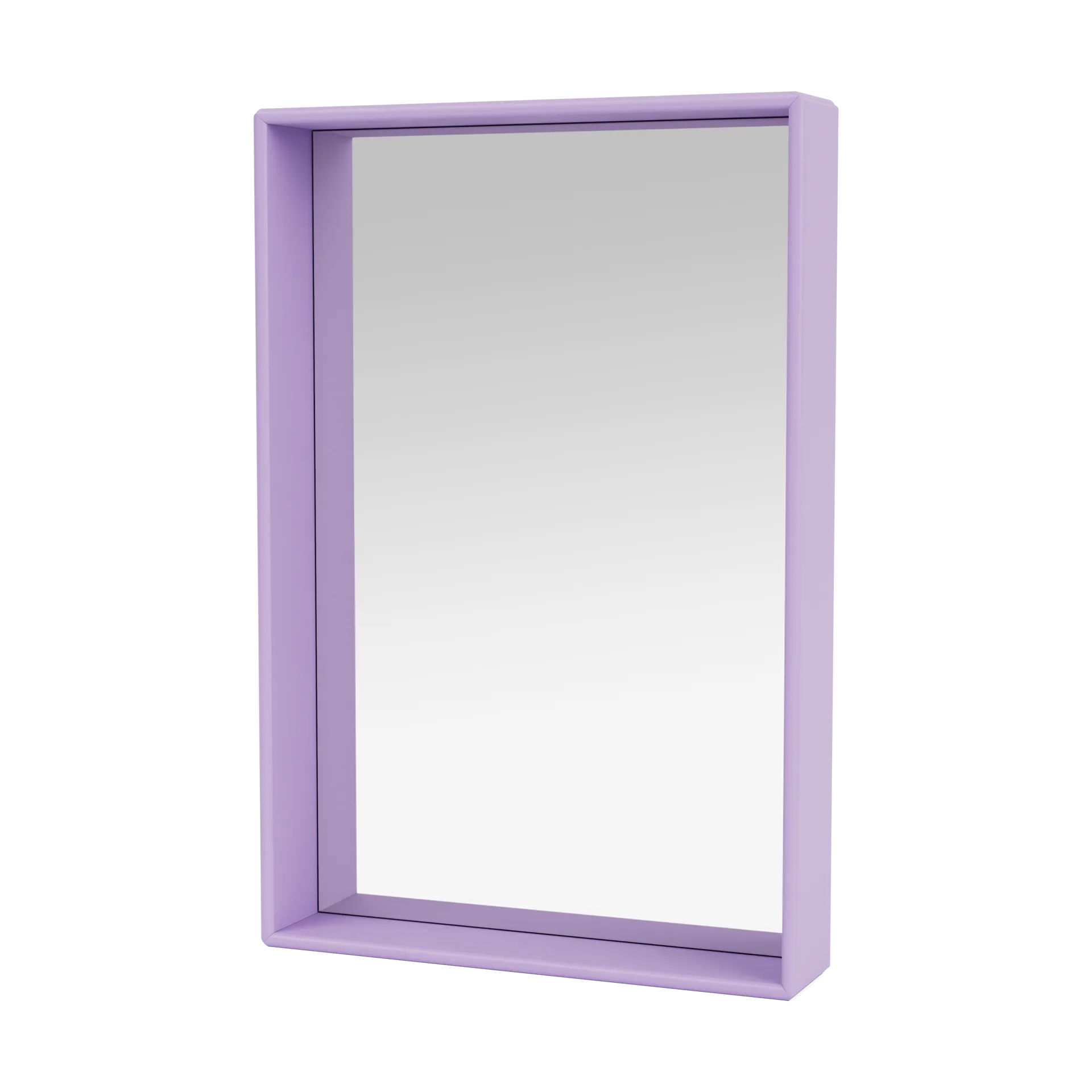 Montana Shelfie colour frame peili 46,8x69,6 cm Iris