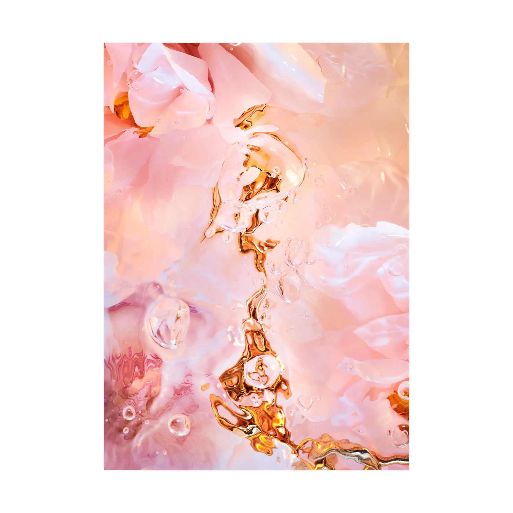 Paper Collective Flora Aquatica 02 juliste 70x100 cm