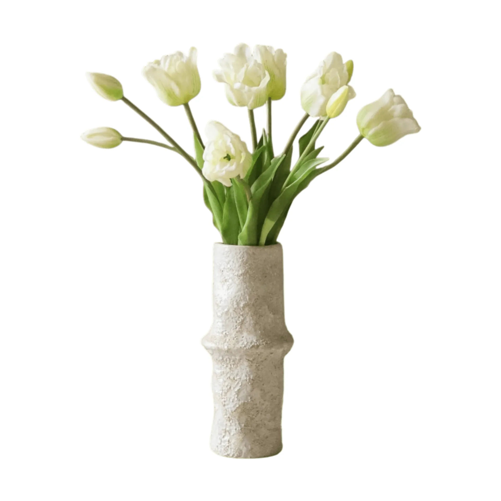 Botané Tekotulppaanikimppu triumph Valkoinen, 10 kpl