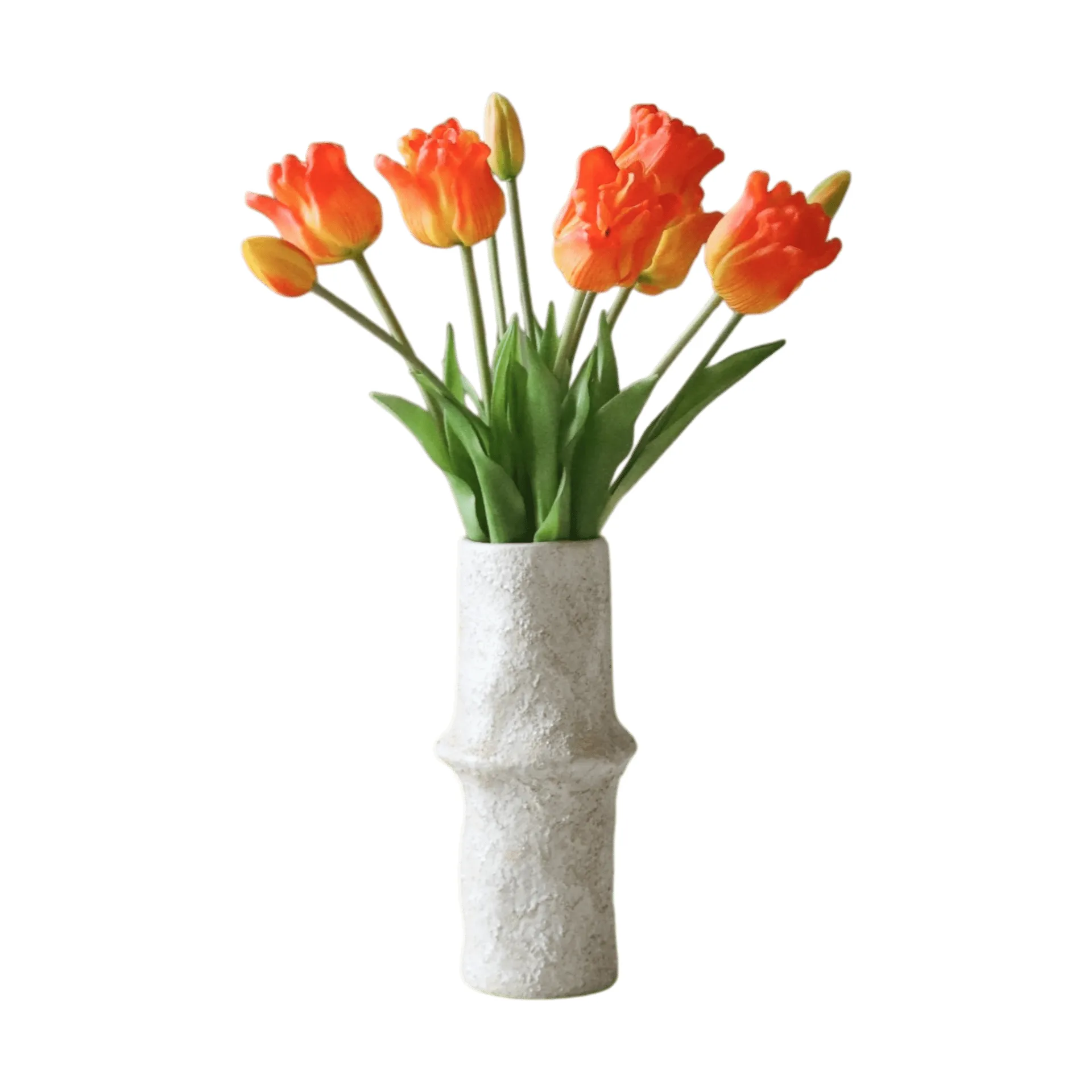 Botané Tekotulppaanikimppu triumph Orange, 10 kpl