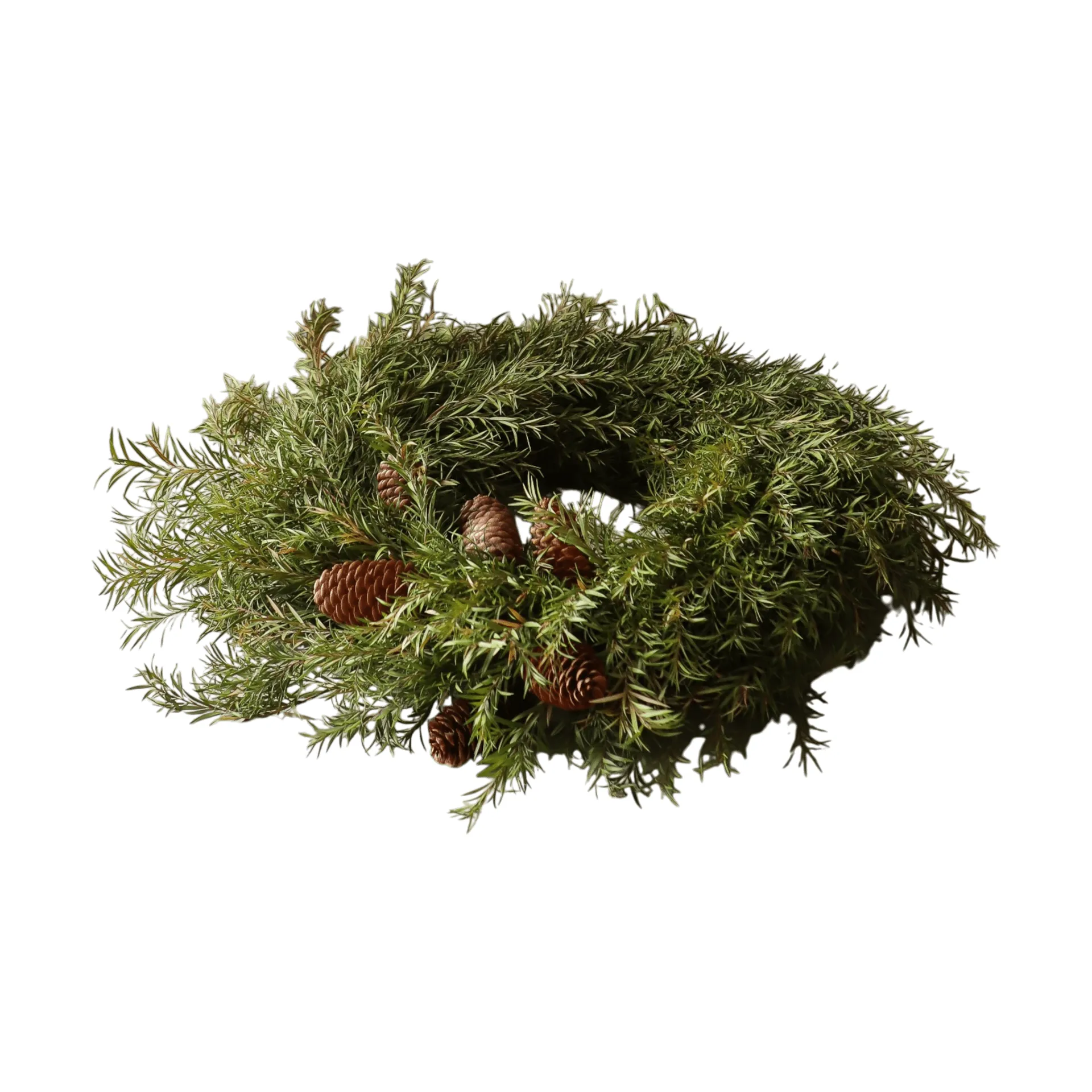 Botané Evergreen Pine Wreath kranssi Kuusenoksat, Ø40 cm