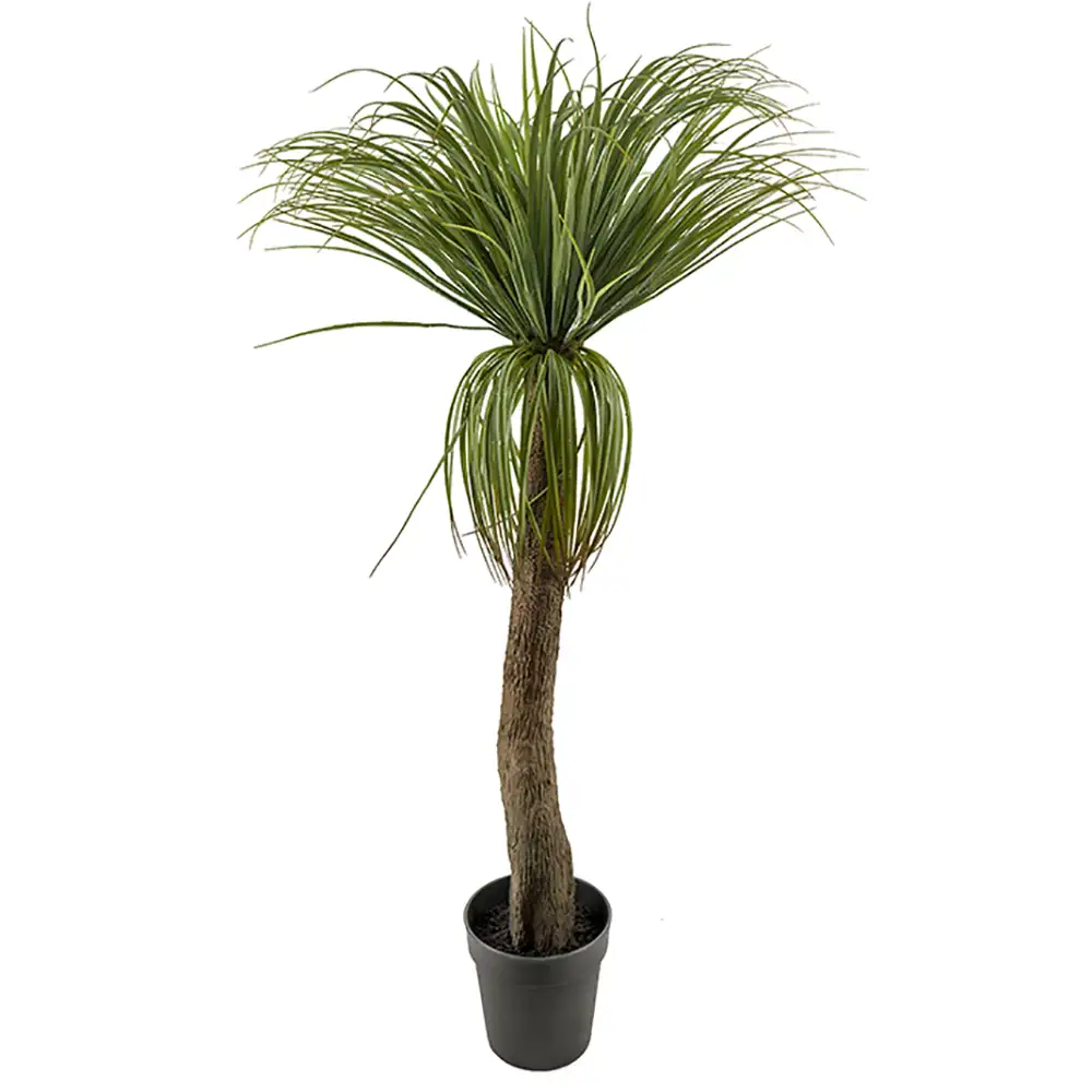 Mr Plant, Pullo lilja 130 cm