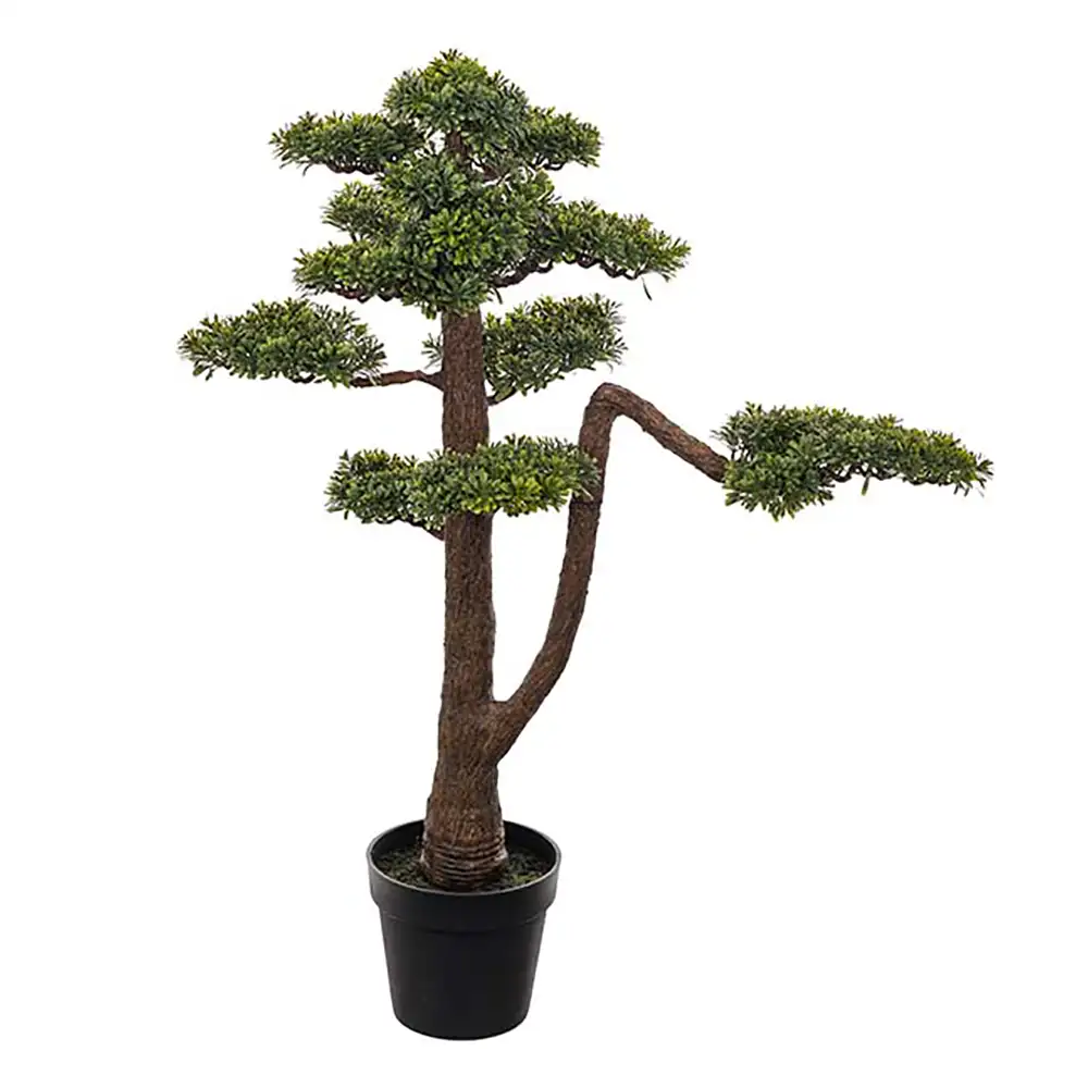Mr Plant, Bonsai Puu 95 cm