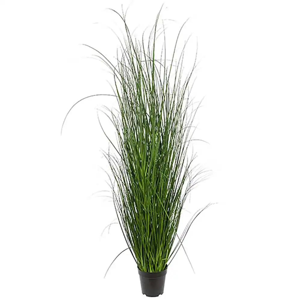 Mr Plant, Ruoho 140 cm