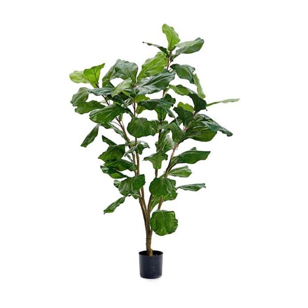 Mr Plant, Viulufiikus Vihreä 120 cm
