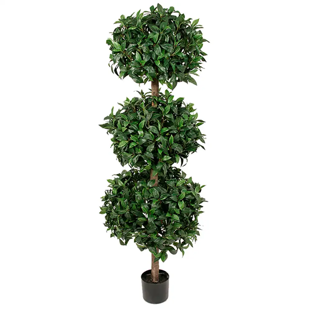 Mr Plant, Lagerlaakeripuu 150 cm