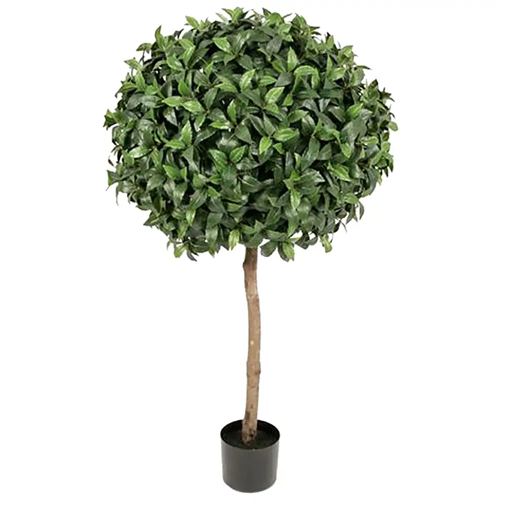 Mr Plant, Lagerlaakeripuu 135 cm