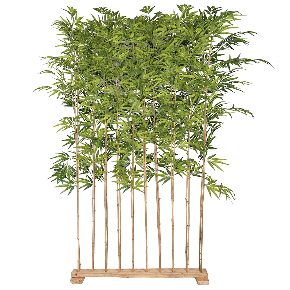 Mr Plant, Bambu 190 cm