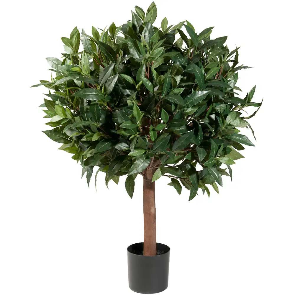Mr Plant, Lagerlaakeripuu 80 cm
