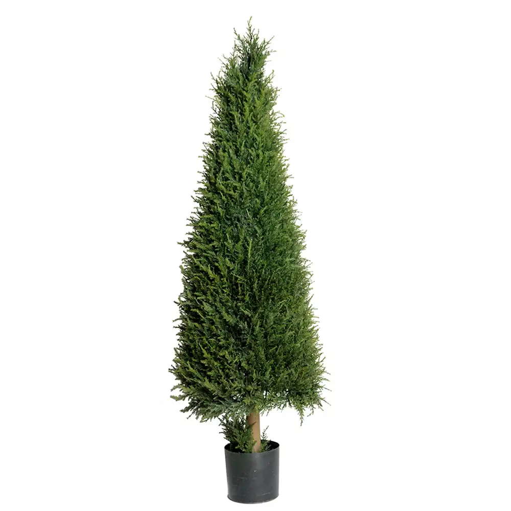 Mr Plant, Kuusipuu 110 cm