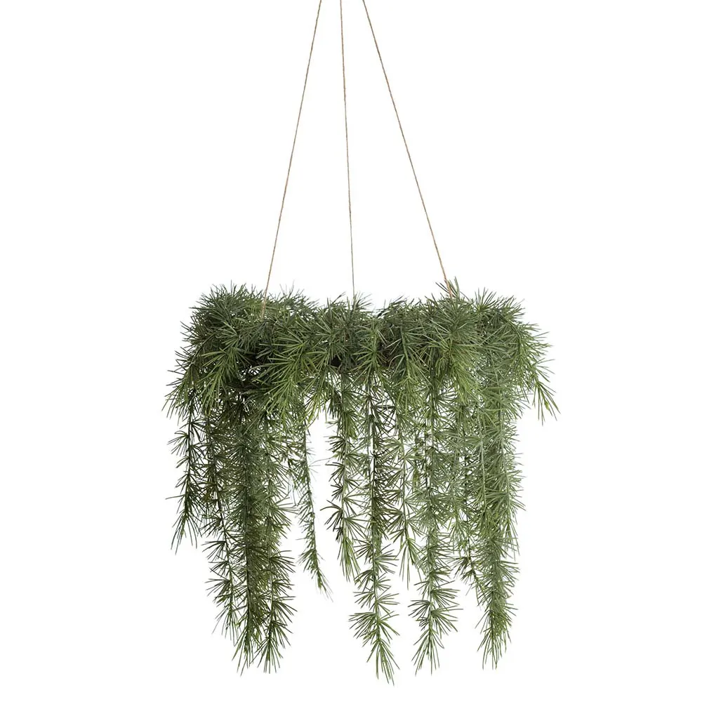 Mr Plant, Riippuva joulukranssi