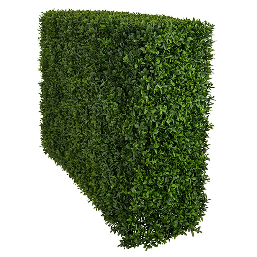 Mr Plant, Buxbom Pensas 75 cm