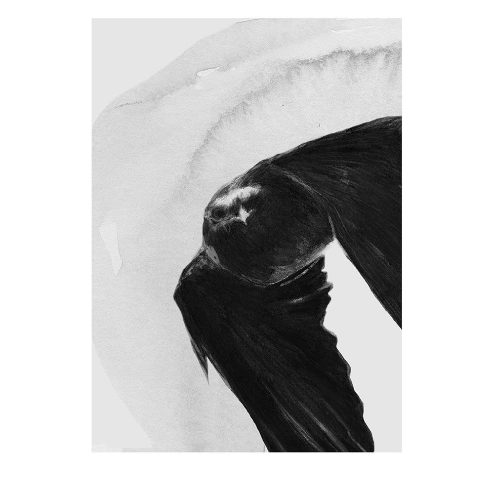 Anna Bülow, Anna Bülow poster Flight 50x70 cm